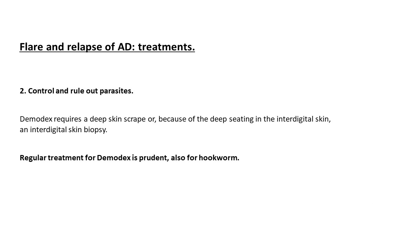 Pruritic_Dog_Webinar_Slide_68.jpg